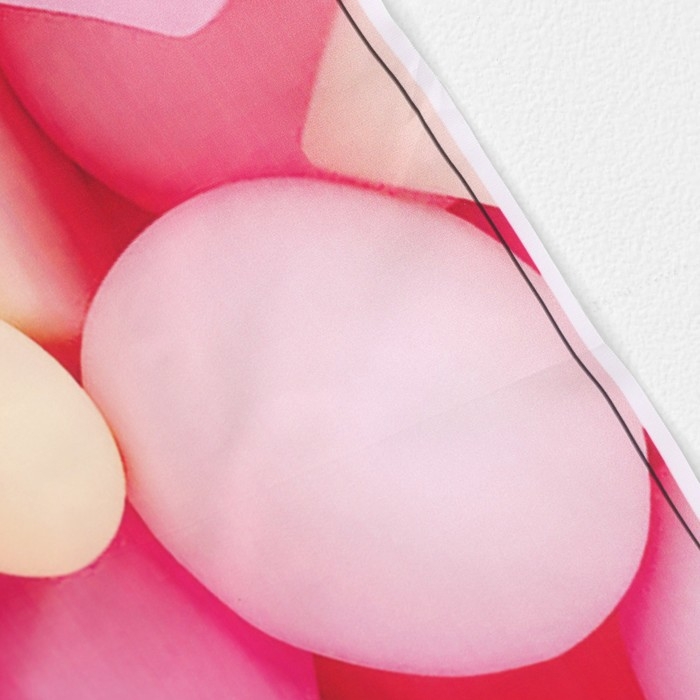 Фотофон винил "Спонжи" 120х80 см