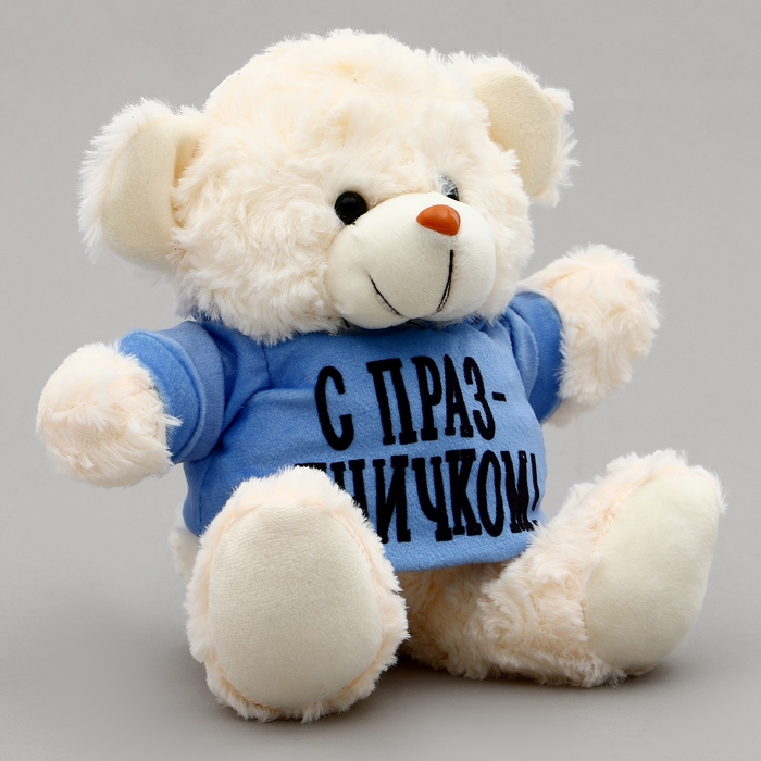 Мягкая игрушка Мишка &laquo;С праздничком!&raquo;, в кофте, 13 см