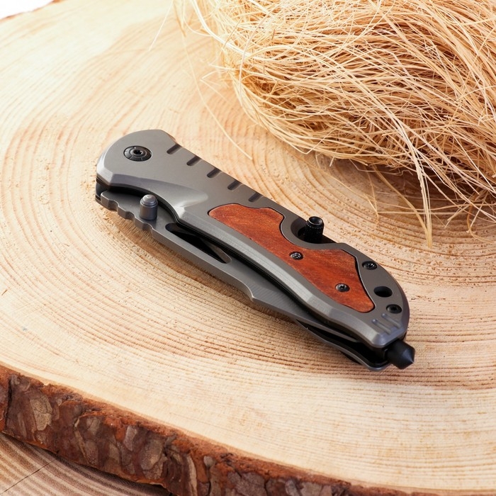 Нож складной Нож складной "Биом" 20,5см, клинок 88мм/2,5мм