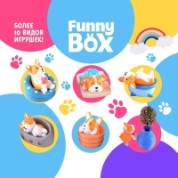 Набор для детей Funny Box &laquo;Собачки&raquo; Набор: радуга, инструкция, наклейки, МИКС