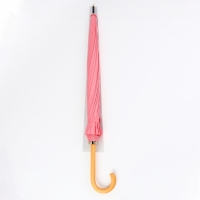 Зонт - трость полуавтоматический «Пастель», 16 спиц, R = 52/60 см, D = 120 см, цвет розовый Зонт - трость полуавтоматический «Пастель», 16 спиц, R = 52/60 см, D = 120 см, цвет розовый