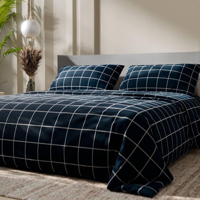 Постельное бельё Этель дуэт "Клетка" цвет синий 143х215-2 шт, 220х240, 50х70-2 шт, бязь, 125 г/м2