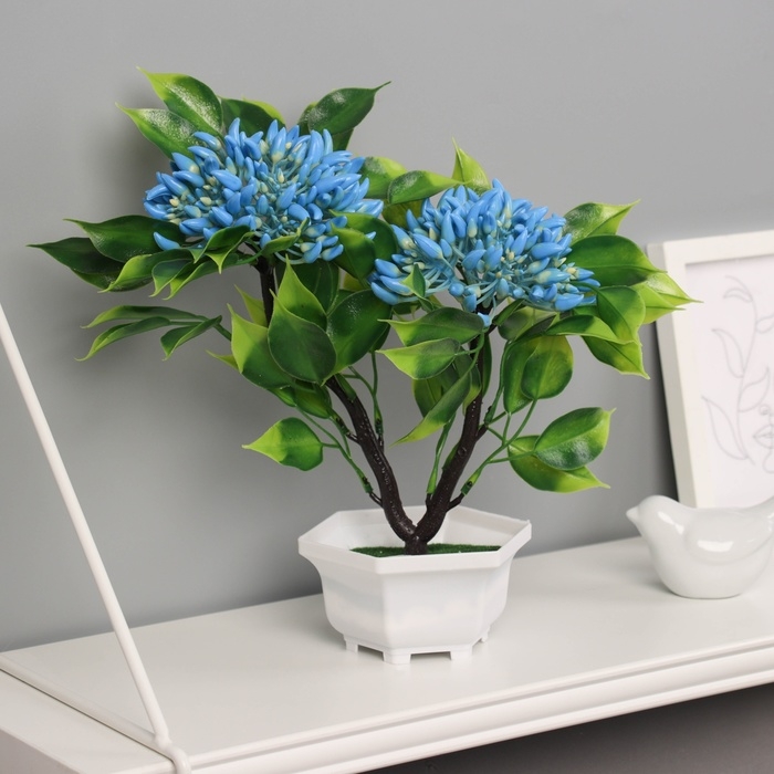 Бонсай в горшке "Ашока комнатная" 23х11 см, микс