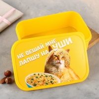Ланч-бокс прямоугольный &laquo;Не вешай лапшу на уши&raquo;, 1200 мл
