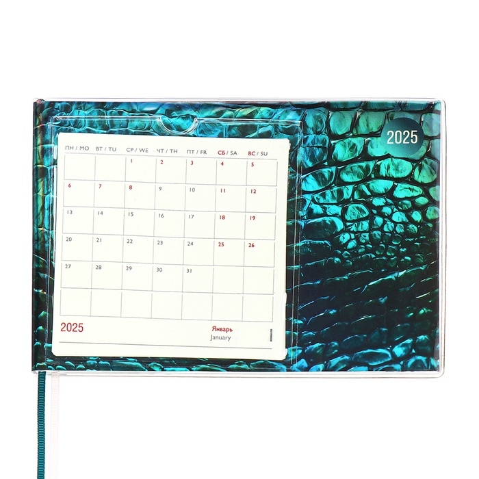 Еженедельник датир 2025г 180х127мм мягк обл ПВХ 64л ESCALADA ЗМЕЯ ЗЕЛЁНАЯ, кр бл 70 г/м&sup2;
