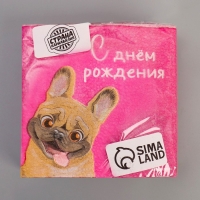 Салфетки бумажные &laquo;С Днём Рождения&raquo;, пёсель, 24 х 24 см, 20 шт