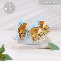 Аромагорошины в подарочном пакете, набор 3 шт по 10 гр, душистая ваниль Аромагорошины в подарочном пакете, набор 3 шт по 10 гр, душистая ваниль
