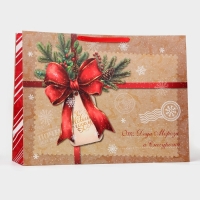 Новый год. Пакет ламинированный &laquo;Конверт&raquo;, XXL 46 х 61 х 20 см.