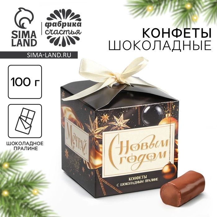 Конфеты на новый год шоколадные в коробке &laquo;Мечтай&raquo;, 100 г