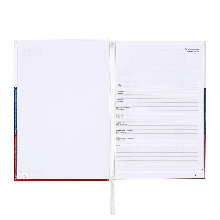 Ежедневник датированный 2025 года, deVENTE. Flag, A5 168 листов, твердая обложка кожзам с поролоном, тиснение фольгой, перфорация, ляссе, блок 70 г/м2