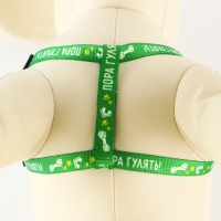 Комплект «Пора гулять», шлейка 24-34 см, поводок 120х1 см Комплект «Пора гулять», шлейка 24-34 см, поводок 120х1 см