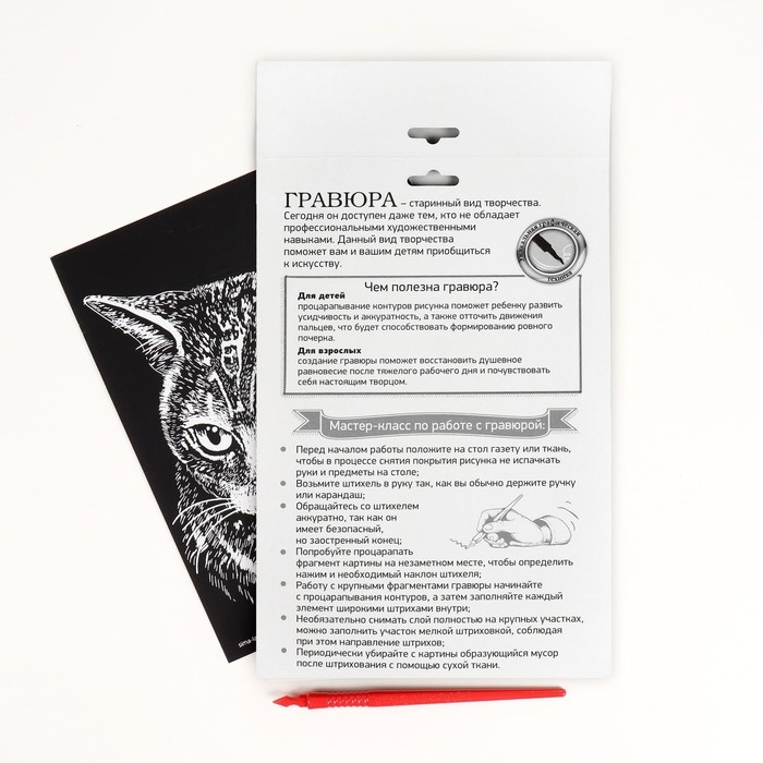 Гравюра &laquo;Британская кошка&raquo; с металлическим эффектом серебра А5