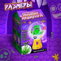 Набор для опытов &laquo;Живой аквариум: Чудастики&raquo;, вырасти травку