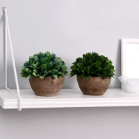 Бонсай в горшке "Густые листики" 13х11 см, микс Бонсай в горшке "Густые листики" 13х11 см, микс