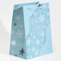Пакет подарочный новогодний ламинированный &laquo;Лёд&raquo;, 21 х 30 х 15 см, Новый год