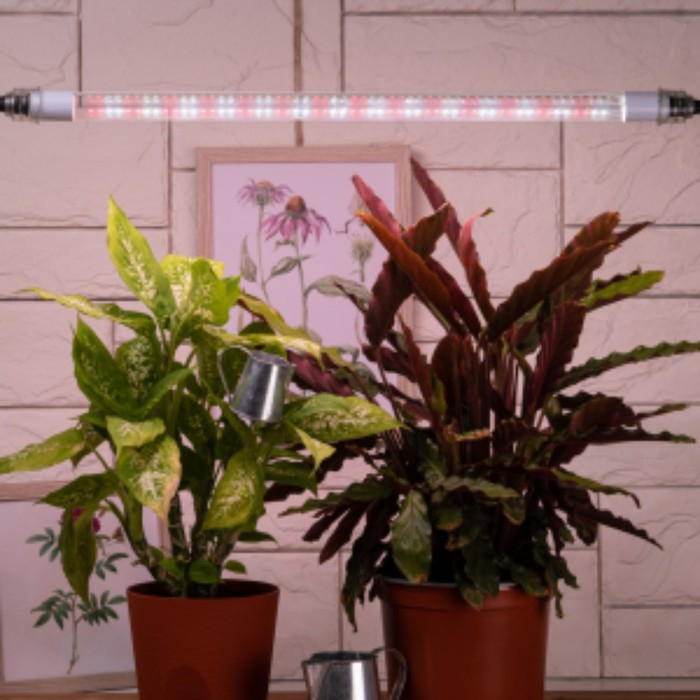 Фитолампа светодиодная, 9 Вт, 600 мм, IP20, полный спектр, бело-красная, &laquo;ЭРА&raquo;