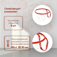 Корзина баскетбольная №5, d=380 мм, с сеткой Корзина баскетбольная №5, d=380 мм, с сеткой