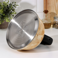 Чайник со свистком из нержавеющей стали Доляна &laquo;Скоттиш&raquo;, 2,8 л