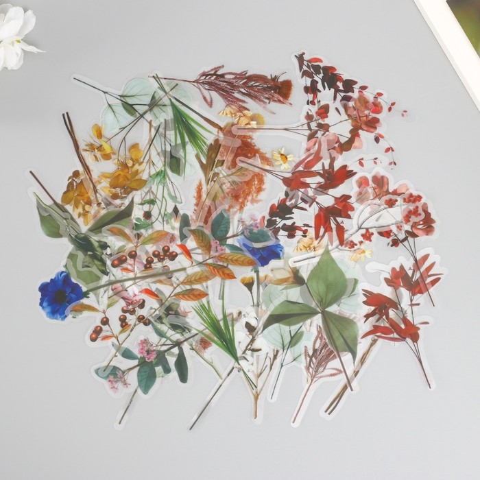 Наклейки для творчества пластик PVC "По лесным тропам" набор 40 шт 9х10.5 см