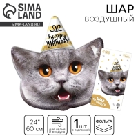Воздушный шар фольгированный 24" «Кот — с днём рождения», с подложкой Воздушный шар фольгированный 24" «Кот — с днём рождения», с подложкой