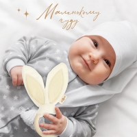 Подарочный набор новогодний: игрушка - пищалка и иигрушка - шуршалка «Зайка», цвет бежевый Подарочный набор новогодний: игрушка - пищалка и иигрушка - шуршалка «Зайка», цвет бежевый