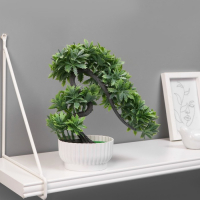 Бонсай в горшке "Деревце остролист" 10х22 см, микс Бонсай в горшке "Деревце остролист" 10х22 см, микс