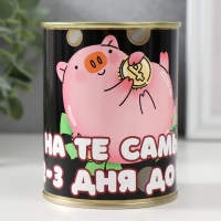 Копилка-банка "На те самые 2-3 дня" Копилка-банка "На те самые 2-3 дня"