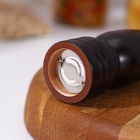 Мельница для специй Доляна &laquo;Дуновение леса&raquo;, 26,5&times;4,5 см, керамический механизм, цвет тёмное дерево