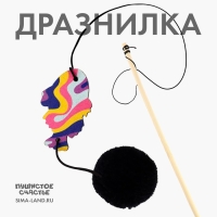 Дразнилка с деревянной подвеской &laquo;Яркая рыбка&raquo;, 5 см