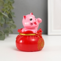 Маятник пластик "Счастливый кот в денежном мешке" белый 7х7х9 см Маятник пластик "Счастливый кот в денежном мешке" белый 7х7х9 см