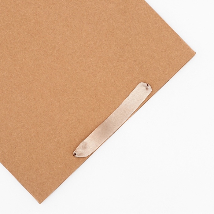 Пакет крафт без печати, 28 х 10 х 33 см 260 г/м2