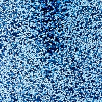 Набор для творчества «Декор: блёстки» Набор для творчества «Декор: блёстки»