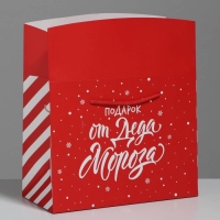 Пакет-коробка «Подарок», 23 х 18 х 11 см Пакет-коробка «Подарок», 23 х 18 х 11 см