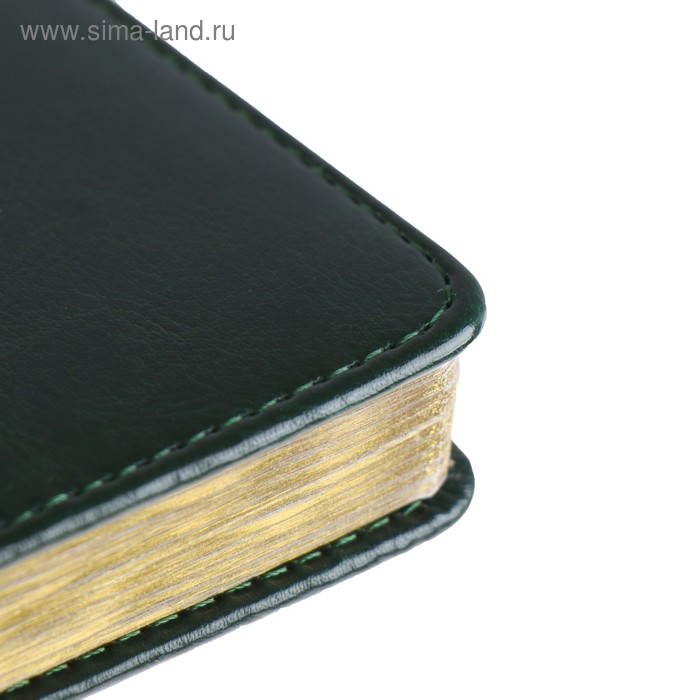 Ежедневник недатированный А5+, 136 листов Sidney Nebraska, твёрдая обложка, искусственная кожа, золотой срез, зелёный