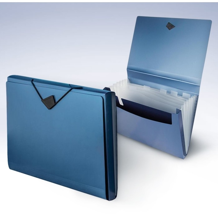 Папка-картотека, А4, 6 отделений, 800 мкм, Calligrata TOP Папка-картотека, А4, 6 отделений, 800 мкм, Calligrata TOP "Mistral", на резинке, тиснение, синий металлик