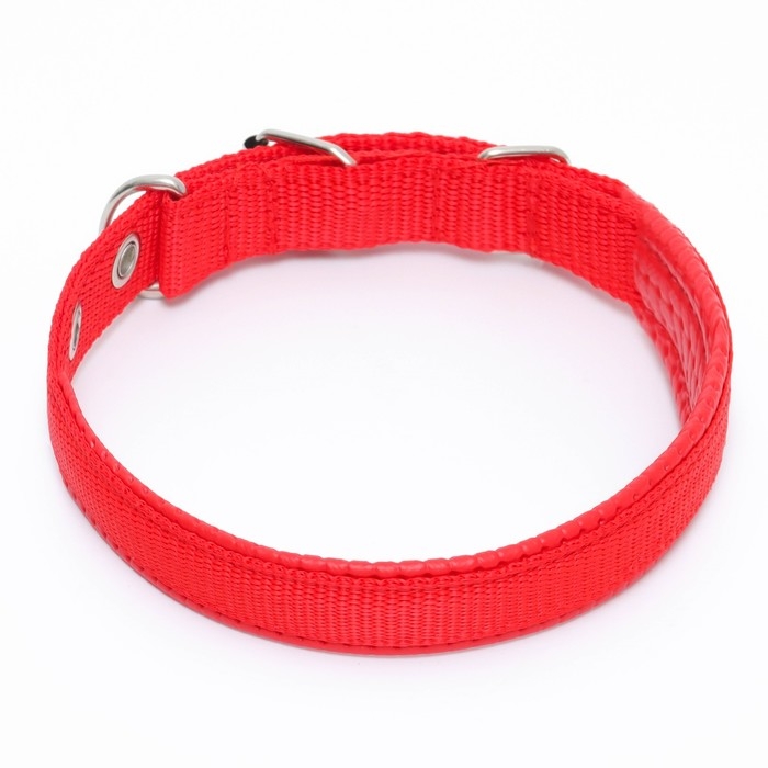 Ошейник Ошейник "Комфорт" комбинированный, 45 х 2 см, ОШ 30-39 см, красный