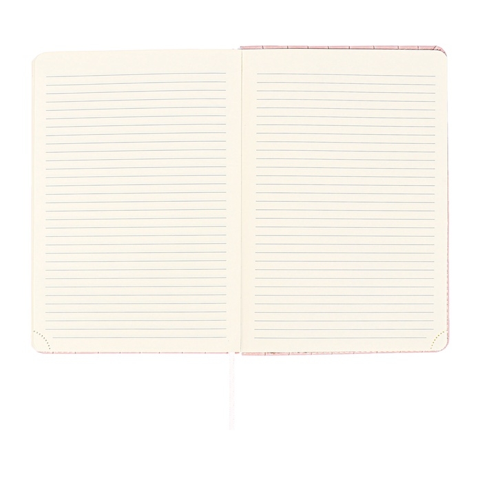 Ежедневник датированный 2025 A5 168 листов, deVENTE.Barbara, твердая обложка кожзам с поролоном, хлястик, перфорация, ляссе, блок 70, розовый