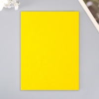 Набор мягкого фетра "Астра" (3 шт) горчично-жёлтый, 3 мм, 400 гр. 20х30 см Набор мягкого фетра "Астра" (3 шт) горчично-жёлтый, 3 мм, 400 гр. 20х30 см