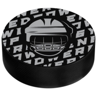 Шайба хоккейная Winter Star, взрослая, d=7,6 см Шайба хоккейная Winter Star, взрослая, d=7,6 см