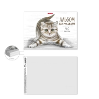 Альбом для рисования А4, 40 листов, блок 120 г/м&sup2;, на клею, Erich Krause "Tabby", 100% белизна, твердая подложка