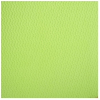 Коврик для йоги Sangh, 183×61×0,8 см, цвет тёмно-зелёный Коврик для йоги Sangh, 183×61×0,8 см, цвет тёмно-зелёный