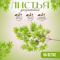 Декор &laquo;Листья на ветке&raquo; цвет зелёный