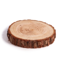 Роспись и лепка по дереву для детей. Набор для творчества &laquo;Веселые птички&raquo;