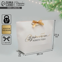 Пакет подарочный новогодний &laquo;Волшебство&raquo;, 30 х 27.5 х 12 см, Новый год