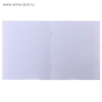 Тетрадь 48 листов в клетку Calligrata "Неон", обложка мелованный картон, УФ-лак, блок офсет, МИКС Тетрадь 48 листов в клетку Calligrata "Неон", обложка мелованный картон, УФ-лак, блок офсет, МИКС