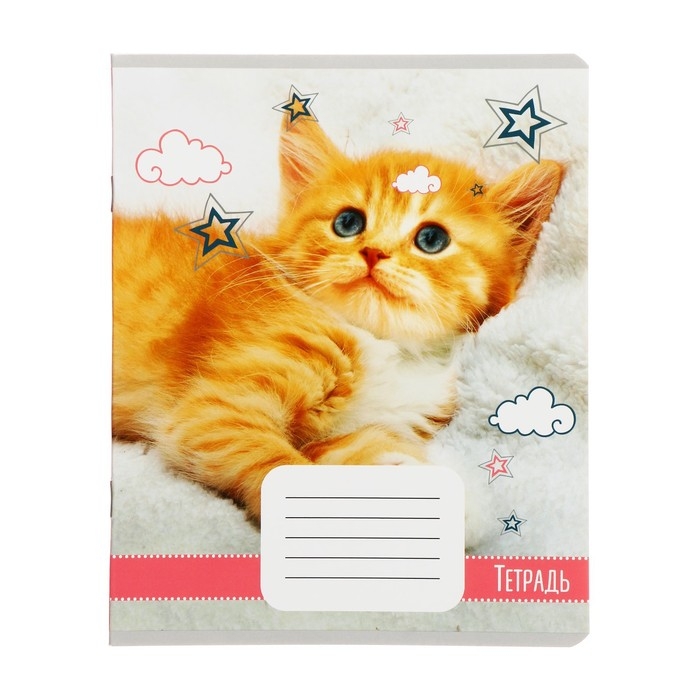Комплект тетрадей из 10 штук, 18 листов в клетку Calligrata Комплект тетрадей из 10 штук, 18 листов в клетку Calligrata "Домашние животные", обложка мелованный картон, блок офсет, 5 видов по 2 штуки