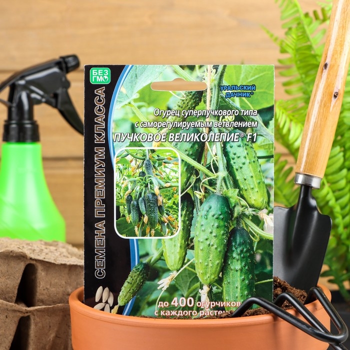 Семена Огурец Семена Огурец "Пучковое великолепие" F1 скороспелый, пучковый, партенокарпический, 5 шт