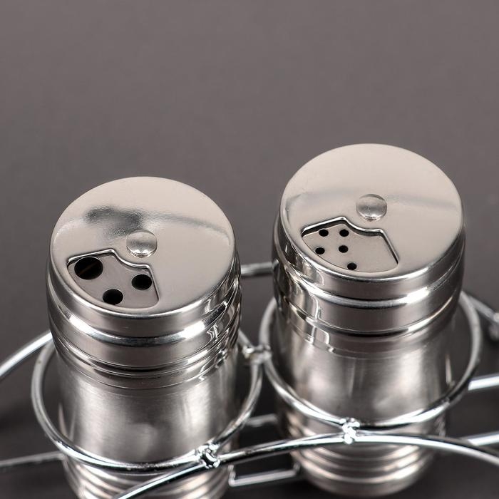 Набор для специй из нержавеющей стали на подставке &laquo;Металлик&raquo;, 100 мл, 2 шт, цвет серебряный