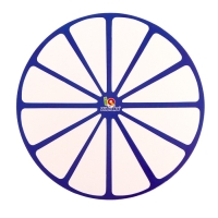 Развивающий набор &laquo;Визуально-ритмический круг&raquo;