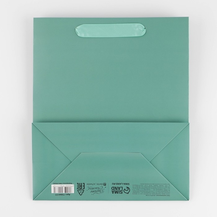 Пакет подарочный ламинированный, упаковка, &laquo;Тиффани&raquo;, ML 23 х 27 х 11.5 см